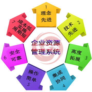 企業資源管理系統特點