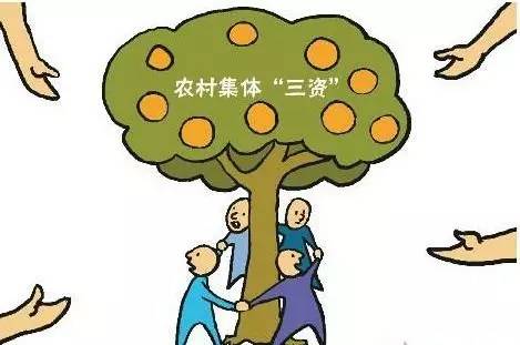 農村集體資產清產核資下半年全面啟動