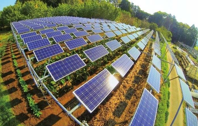 光伏行業經濟效益現分化趨勢