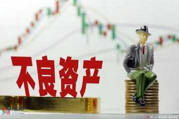 嘉豐瑞德：如何投資不良資產?